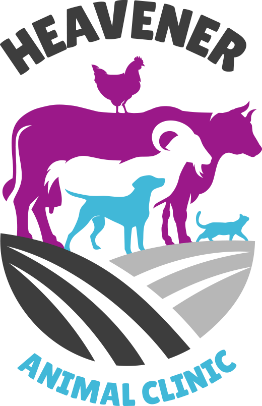 Heavener Animal Clinic