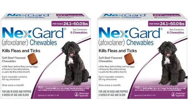 nextgard-12-doses-1 NexGard 12 doses